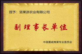 榮譽資質(zhì)